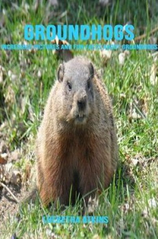 Cover of Groundhogs