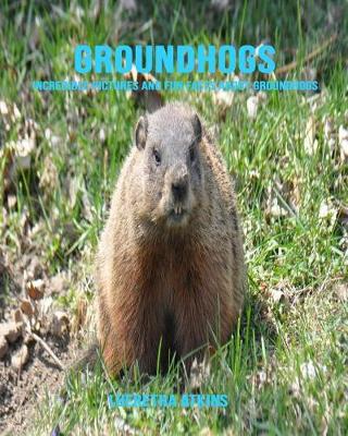 Book cover for Groundhogs