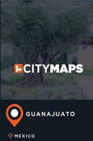 Cover of City Maps Guanajuato Mexico