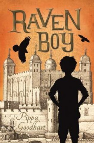 Cover of Raven Boy