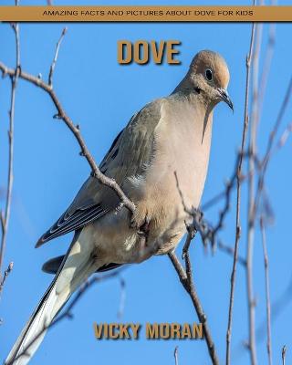 Book cover for Dove