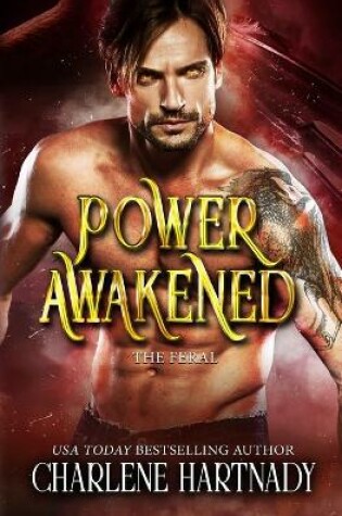 Cover of Power Awakened