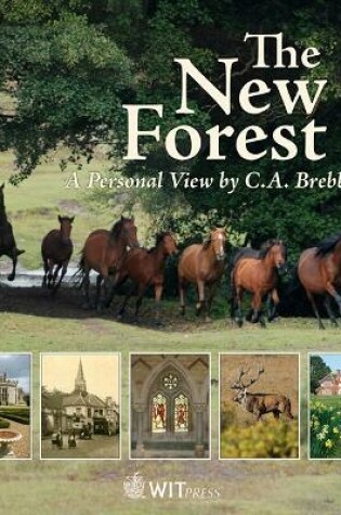 Cover of The New Forest