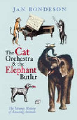 Book cover for Cat Orchestra and the Elephant Butler