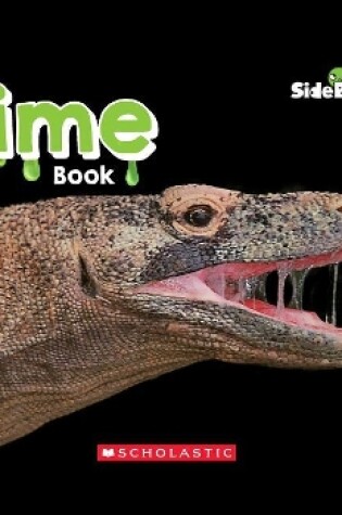 Cover of The Slime Book (Side by Side)