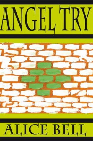 Cover of Angel Try