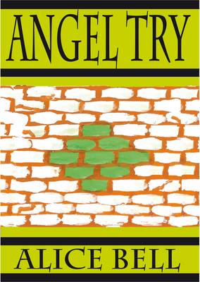 Book cover for Angel Try