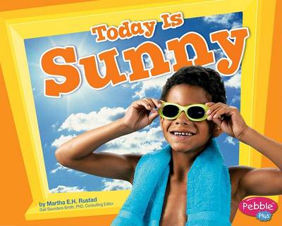 Book cover for Today Is Sunny