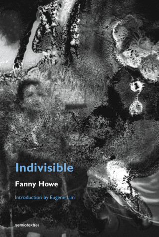 Book cover for Indivisible, new edition