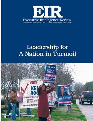 Book cover for Leadership for a Nation in Turmoil