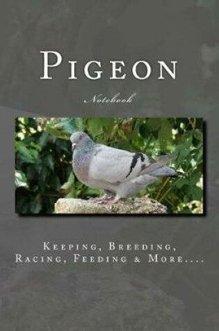 Cover of Pigeon