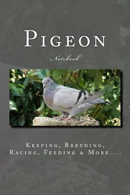 Book cover for Pigeon