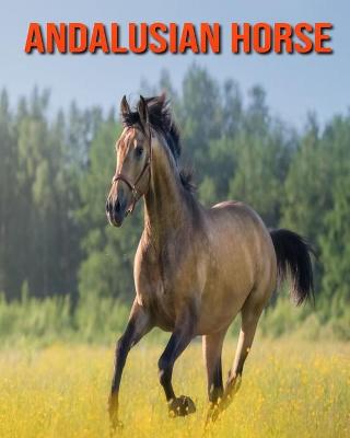 Book cover for Andalusian Horse