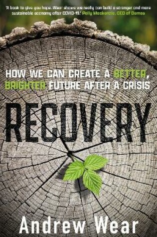 Cover of Recovery