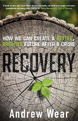 Book cover for Recovery