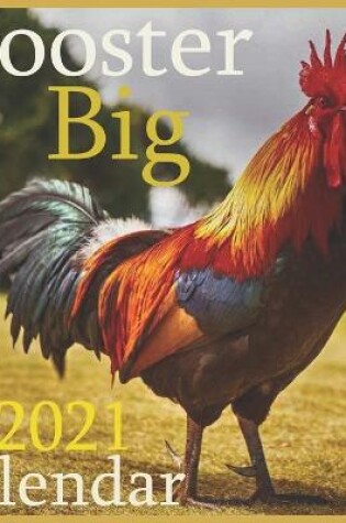 Cover of rooster Big