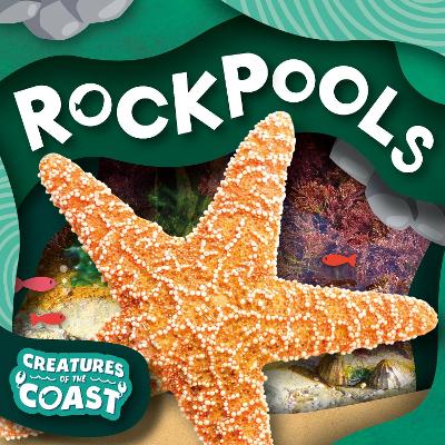 Cover of Rockpools