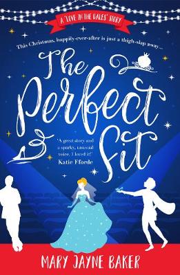 Book cover for The Perfect Fit