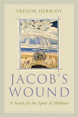 Book cover for Jacob's Wound