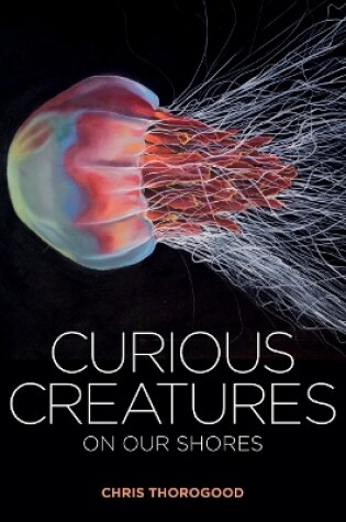 Cover of Curious Creatures on our Shores