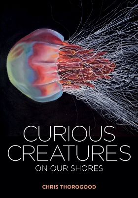 Book cover for Curious Creatures on our Shores