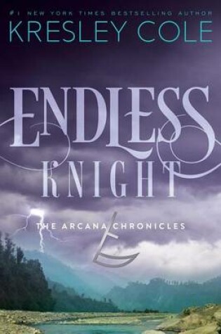 Cover of Endless Knight