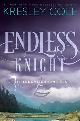 Book cover for Endless Knight