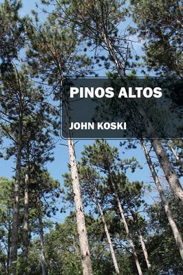 Book cover for Pinos Altos