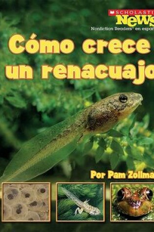 Cover of Como Crece un Renacuajo