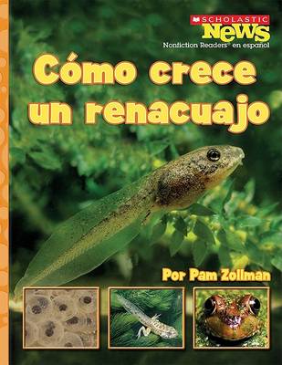 Book cover for Como Crece un Renacuajo