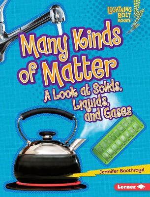 Book cover for Many Kinds of Matter