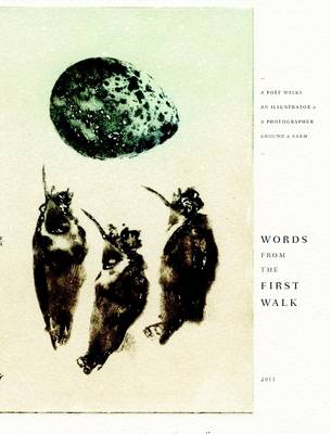 Book cover for Words from the First Walk