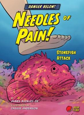 Book cover for Needles of Pain!