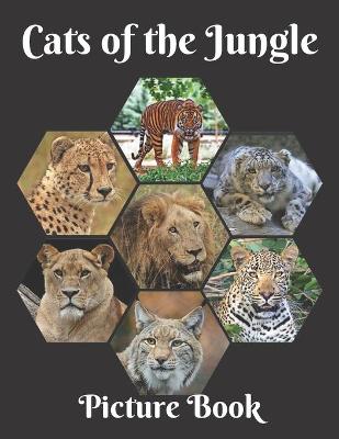 Book cover for Cats of the Jungle Picture Book