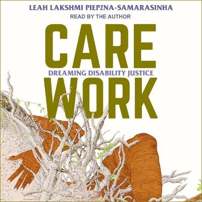 Book cover for Care Work