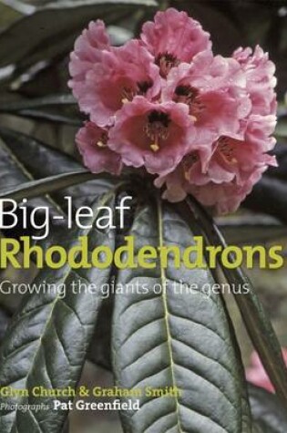 Cover of Big Leaf Rhododendrons