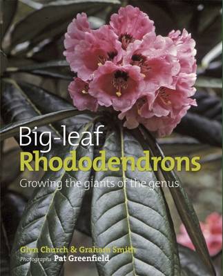 Book cover for Big Leaf Rhododendrons