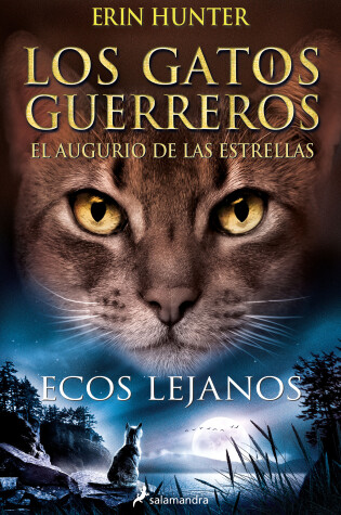 Cover of Ecos lejanos / Fading Echoes