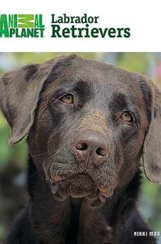 Cover of Labrador Retrievers