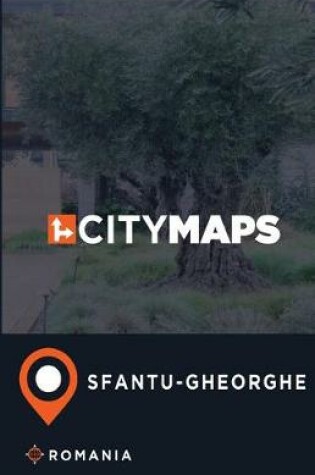 Cover of City Maps Sfantu-Gheorghe Romania