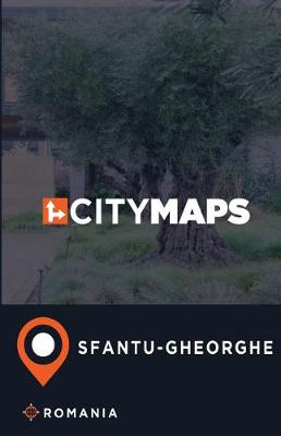 Book cover for City Maps Sfantu-Gheorghe Romania