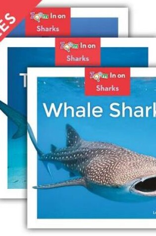 Cover of Sharks (Set)