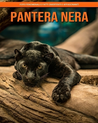 Book cover for Pantera Nera