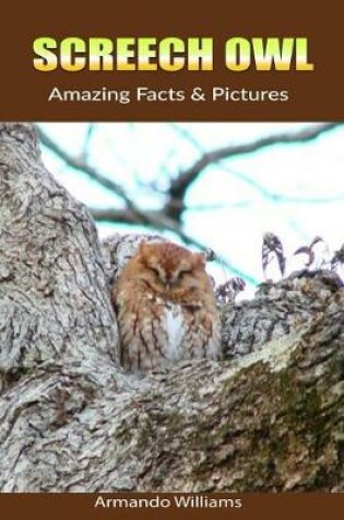 Cover of Screech Owl