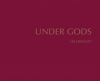 Book cover for Under Gods