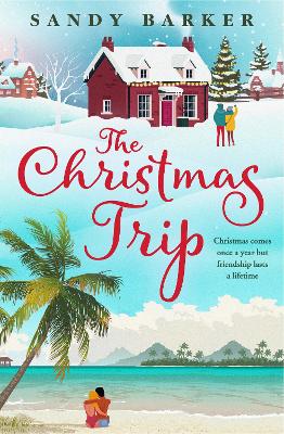 Book cover for The Christmas Trip