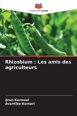 Book cover for Rhizobium