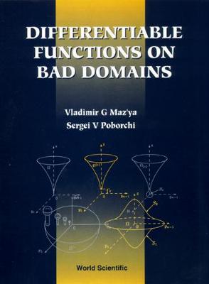 Book cover for Differentiable Functions On Bad Domains