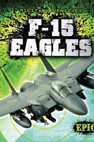 Cover of F-15 Eagles