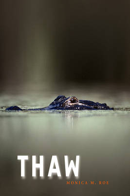 Book cover for Thaw